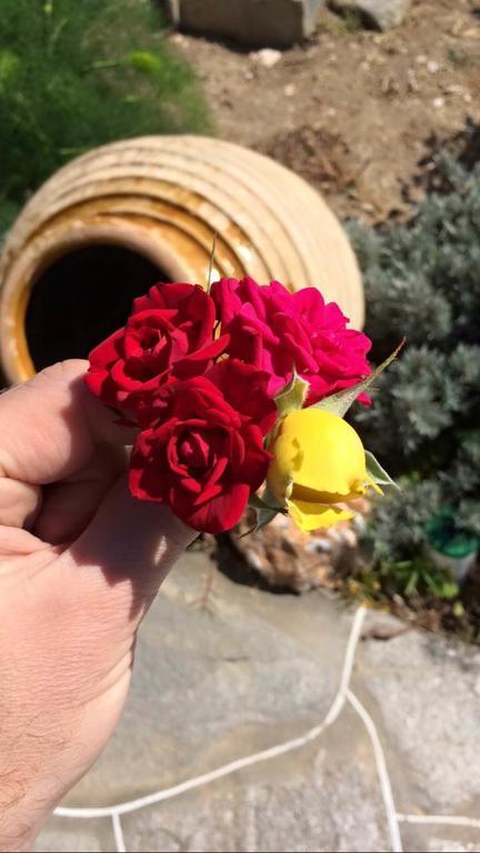 Rose Home Apollonía Eksteriør billede